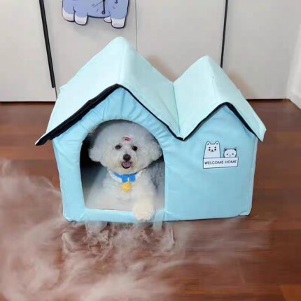 Bichon Frise sitting inside a light blue Bichon Frise Cooling Villa
