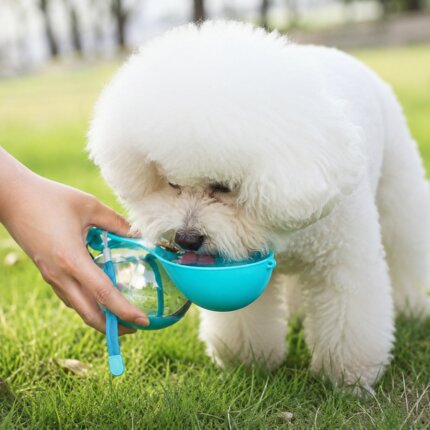 Bichon Frise drinking from a blue Bichon Frise Portable Water Bottle outdoors
