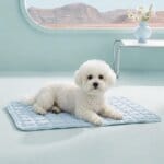 Bichon Frise Bamboo Cooling Mat