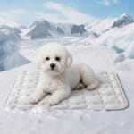 Bichon Frise Bamboo Cooling Mat