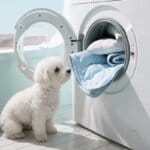 Bichon Frise Bamboo Cooling Mat