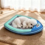 Bichon Frise Boat Bed
