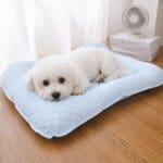 Bichon Frise Cooling Nest Bed