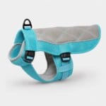 Bichon Frise Cooling Vest