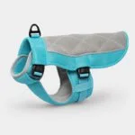 Bichon Frise Cooling Vest