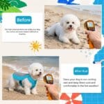 Bichon Frise Cooling Vest