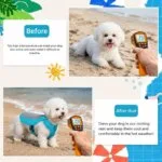 Bichon Frise Cooling Vest