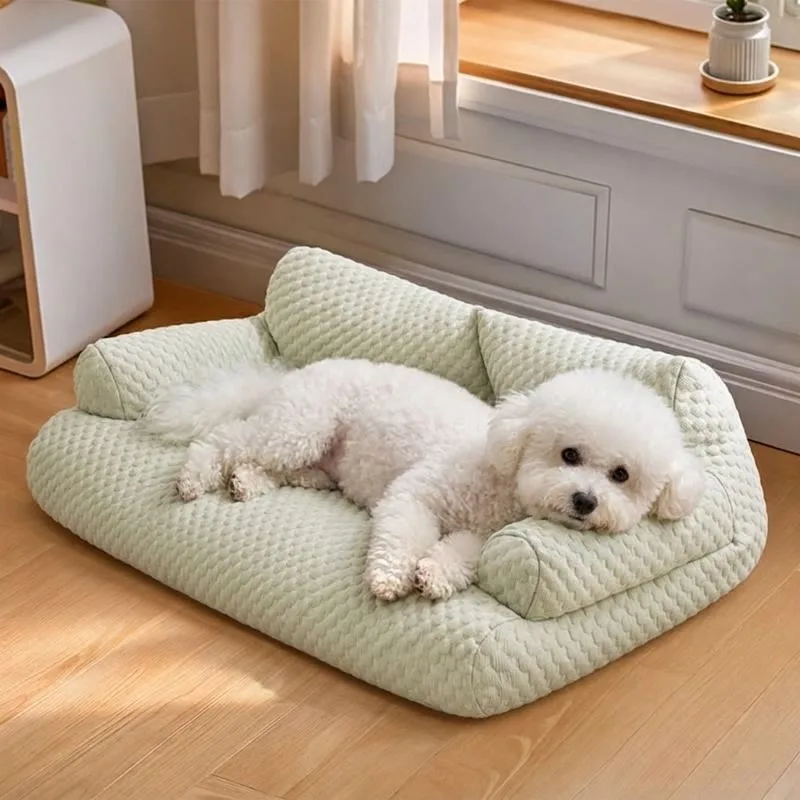 Bichon Frise CoolPaws Sofa