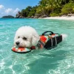 Bichon Frise Life Vest Pro