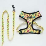 Bichon Ice Cream Harness