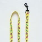 Bichon Ice Cream Harness