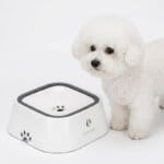 Bichon No-Spill Floating Bowl