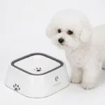 Bichon No-Spill Floating Bowl