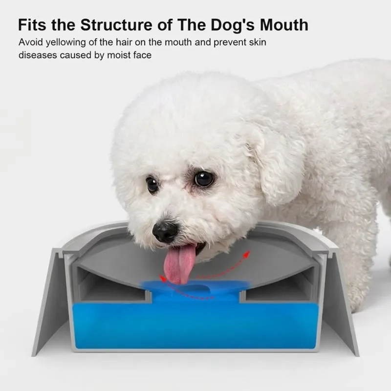 Bichon No-Spill Floating Bowl