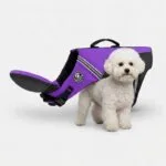 ChinFloat Bichon Life Vest
