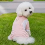 Cooling Sport Bichon Jumpsuit