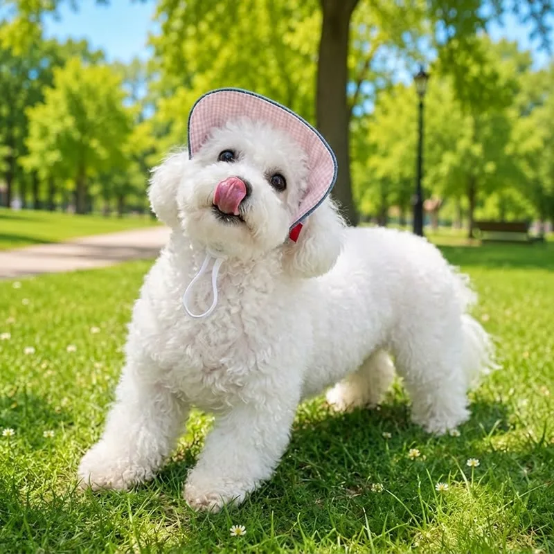 Denim Bichon Summer Cap