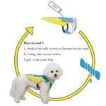 Mesh Bichon Cooling Vest