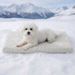 Non-Slip Bichon Cooling Bed