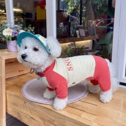 SunProtect Bichon Onesie