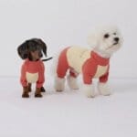 SunProtect Bichon Onesie