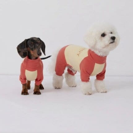 SunProtect Bichon Onesie