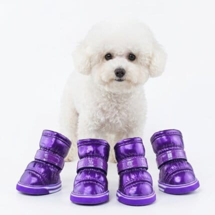 Waterproof Bichon Boots