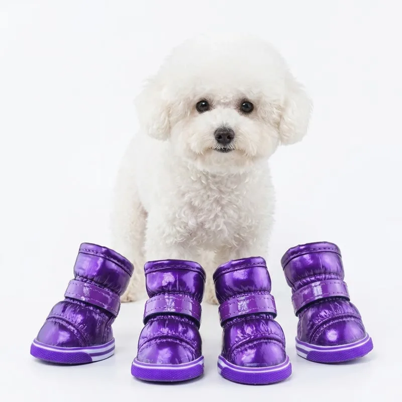 Waterproof Bichon Boots