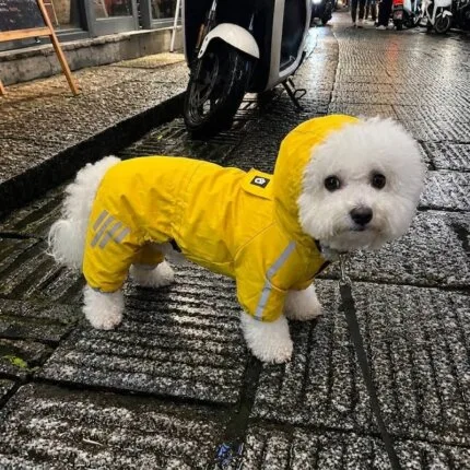 Waterproof Bichon Jumpsuit
