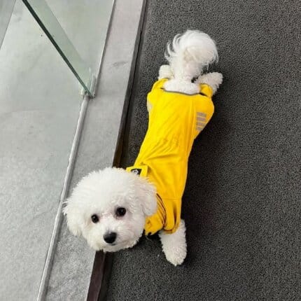 Waterproof Bichon Jumpsuit