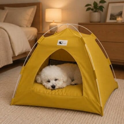 Bichon Camping Tent House