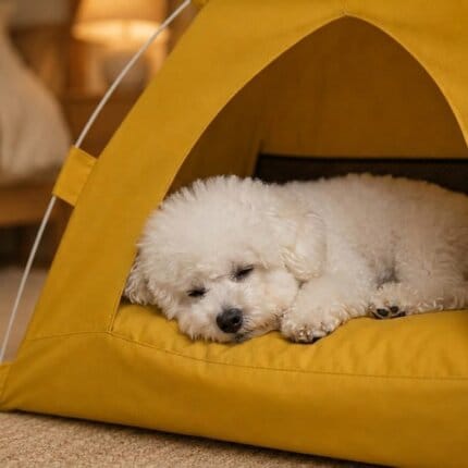 Bichon Shop 21 Bichon Camping Tent House