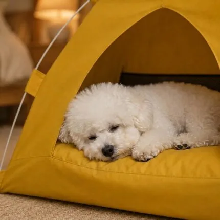 Bichon Shop 21 Bichon Camping Tent House