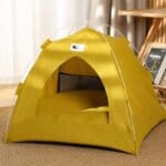 Bichon Camping Tent House
