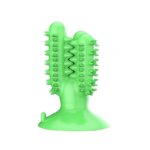 Bichon Dental Chew Toy