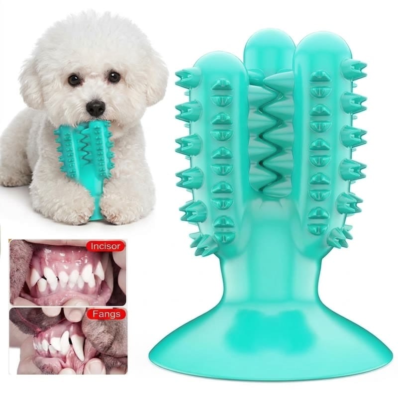 bichon dental chew toy