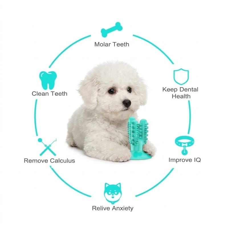 bichon dental chew toy