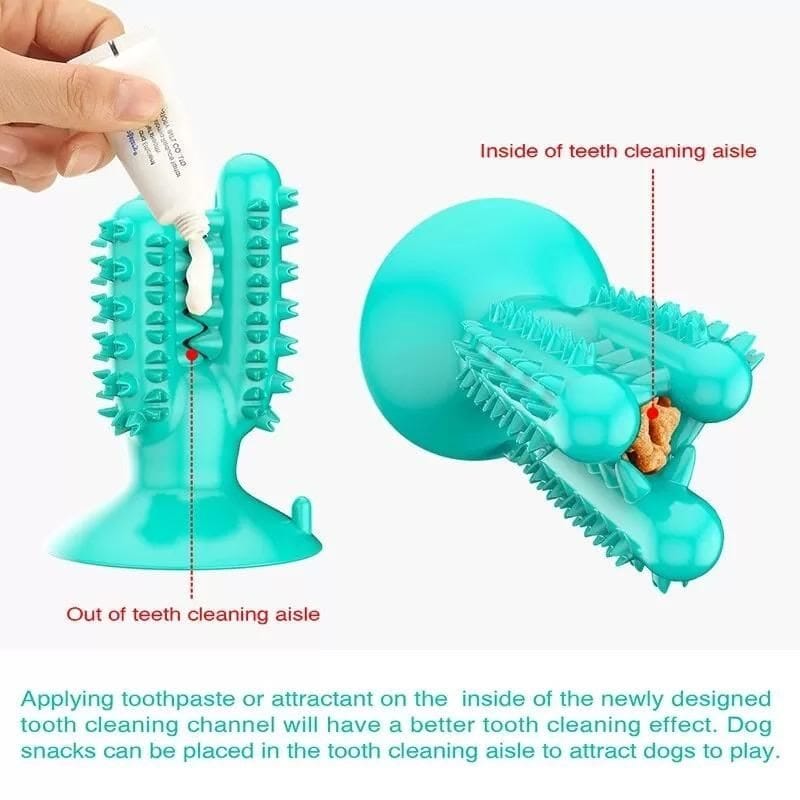 bichon dental chew toy