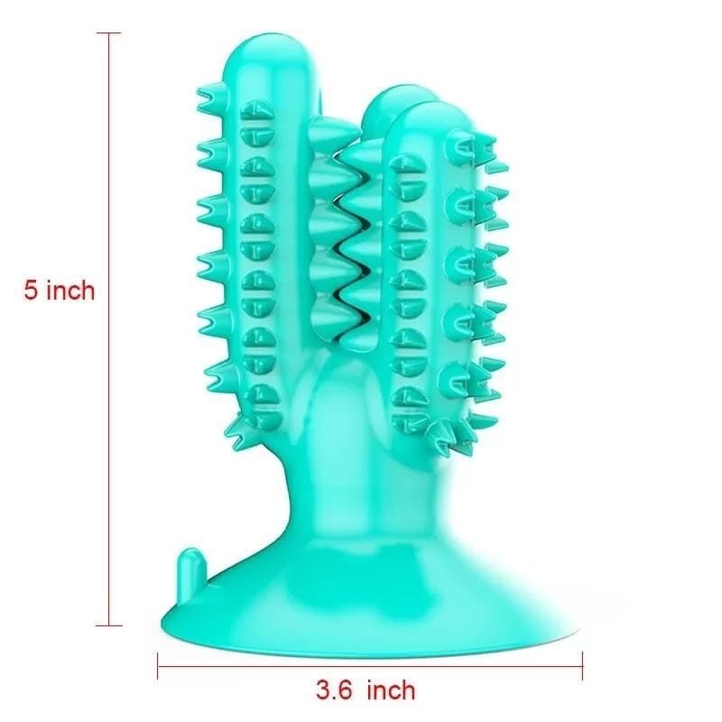bichon dental chew toy
