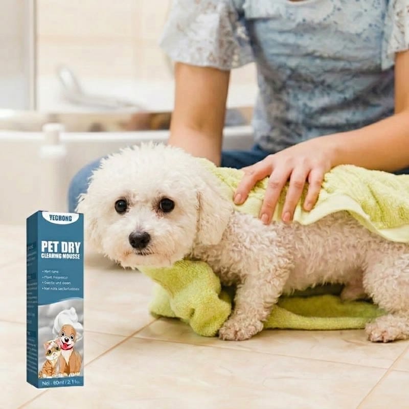 bichon dry shampoo