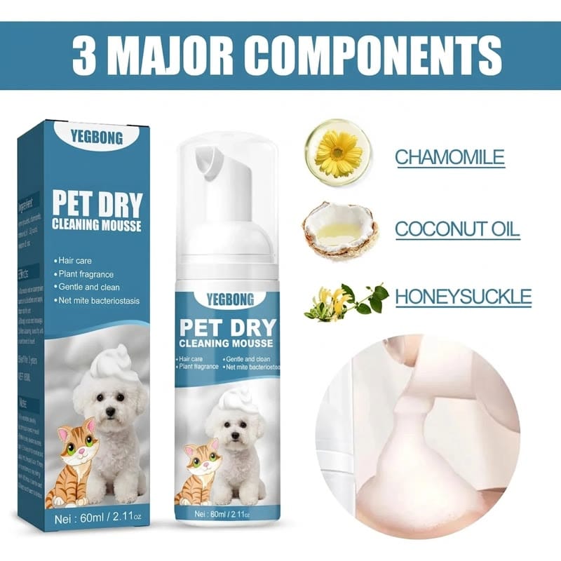 bichon dry shampoo