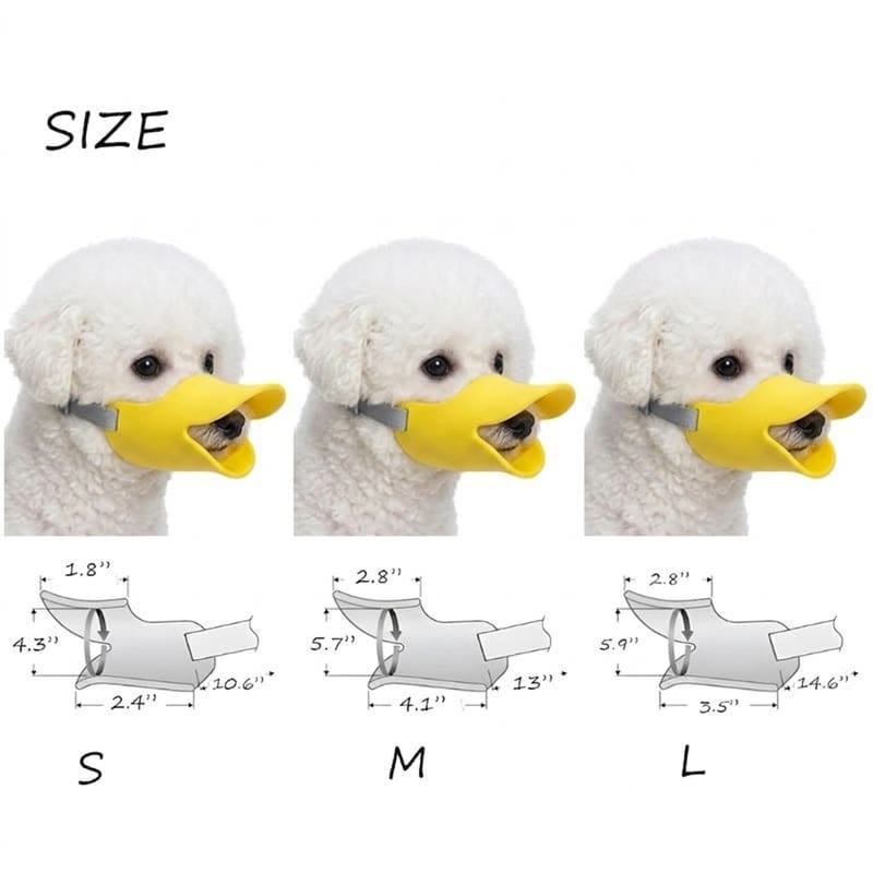 bichon duck muzzle