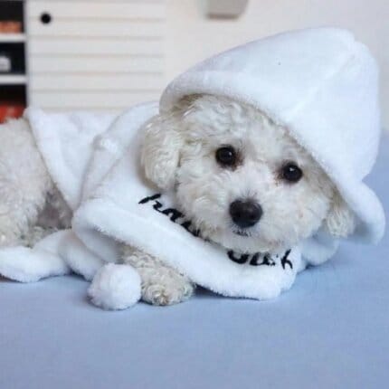 Bichon Frise Bathrobe
