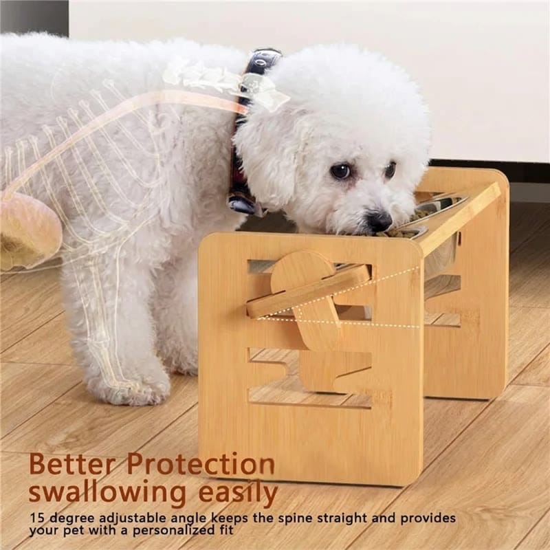 elevated bichon bowl