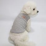 AllerGuard Sleeveless Bichon Frise Tee