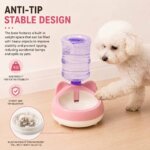Auto Refill Bichon Frise Water Bowl