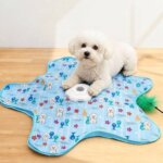 Automatic Self-Play Bichon Frise Teaser Toy