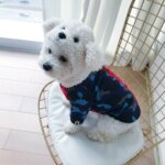Barking Half n Half Shark Hoodie