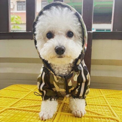 Barking Jacket by Bichon Shop