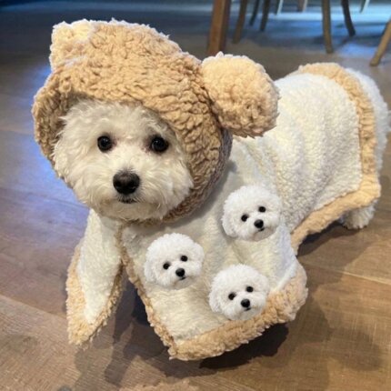 Bear Cozy Bichon Frise Coat
